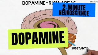 2Minute Neuroscience Dopamine [upl. by Englis]