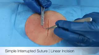 Surgical sutures and ligatures  An overview [upl. by Kirstyn]