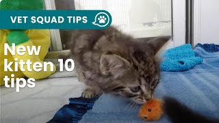 New kitten 10 things you NEED to know  PET CIRCLE [upl. by Renata583]