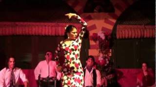 Flamenco Dance Seville Spain [upl. by Eiramyma256]