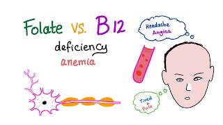 Folate Deficiency vs Vitamin B12 Deficiency  Diet and Nutrition  Hematology [upl. by Adelheid]