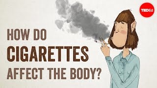 How do cigarettes affect the body  Krishna Sudhir [upl. by Anib103]