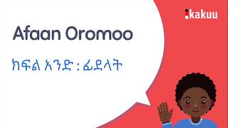 Lesson 1  አፋን ኦሮሞን በአማርኛ መማር Learn Afaan Oromoo Through Amharic [upl. by Ydoj957]