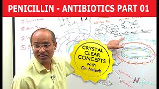 Penicillin  Antibiotics  Dr Najeeb  Part 14 [upl. by Woodruff47]