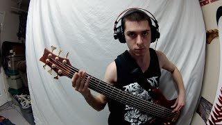 Despised Icon  MVP Bass Cover [upl. by Amahcen]