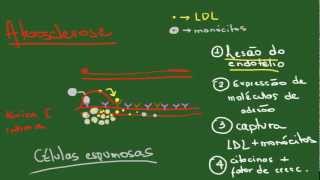 Patologia Aula 2  Aspectos das doenças [upl. by Einaffets]