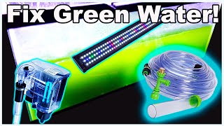 How to Fix Green Water in Your Fish Tank [upl. by Hesky331]