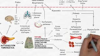 PATOLOGÍA BENIGNA DE LA MAMA II FIBROADENOMA PAPILOMA HIPERPLASIA  Ginecología y obstetricia [upl. by Caitrin]