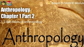 Anthropology Chapter 1  Part 2   Subfields of anthropology [upl. by Llerrit]