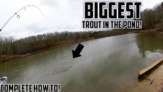 How To CATCH TROUT in Lakes and Ponds GIANT RAINBOW TROUT [upl. by Atikel569]