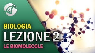 BIOLOGIA  Lezione 2  Le Biomolecole [upl. by Jangro]