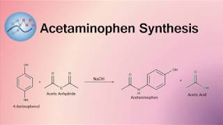 Acetaminophen Synthesis Mechanism  Organic Chemistry [upl. by Mourant233]