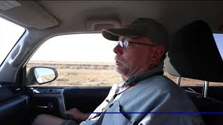 Thousands of tarantulas migrating across Colorado roads [upl. by Nachison]