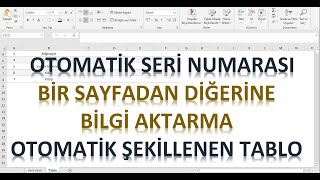 Excel sayfalar arasında otomatik bilgi aktarma [upl. by Asilej]