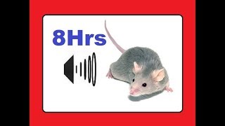 Rats repellent sound  effective for all Rodents [upl. by Ateuqirne]