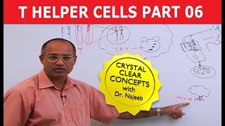 T Helper Cells  Immunology  Part 610 [upl. by Sansen]