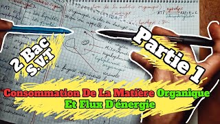 🔥🔥 Consommation De La Matière Organique Et Flux dénergie 🔻 Partie 1 🔻 2 Bac BIOF SVT 🔻1èr chapitre🔻 [upl. by Renaud]