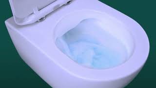 What are Rimless Toilets [upl. by Hras]