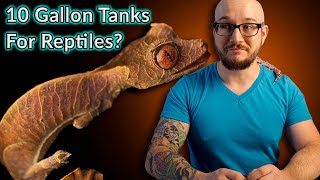 Top 5 Reptiles That Can Live In A Ten Gallon Enclosure FOREVER [upl. by Marte555]