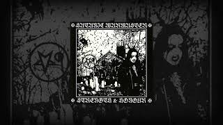 Satanic Warmaster  2001  Strength amp Honour [upl. by Nyladnewg]