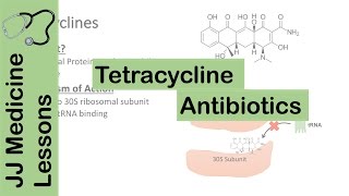 Tetracycline Antibiotics [upl. by Seravaj]