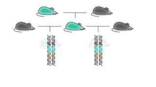 CRISPRCas9 quotMr Sandmanquot Parody  A Capella Science [upl. by Emarie]