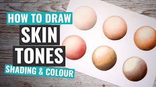 Drawing Skin Tones With Polychromos Colored Pencils [upl. by Averil]