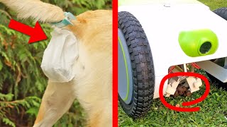 6 Genius Dog Poop Gadgets [upl. by Aggarwal718]