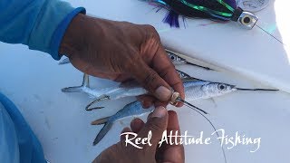 How To Rig A Ballyhoo Halfbeak For Trolling [upl. by Aissatsana584]