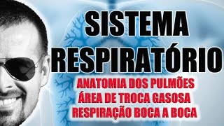 Sistema Respiratório  Anatomia dos Pulmões e RCP  Fisiologia  VideoAula 027 [upl. by Auqenaj920]