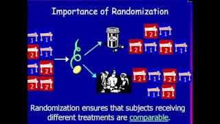 Why Randomization Is Important [upl. by Yrallam73]