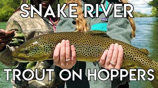 Epic Snake River Hopper Fishing [upl. by Avictor788]