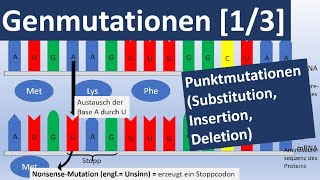 Genmutationen 13 Punktmutationen Insertion Substitution Deletion  Genetik Oberstufe [upl. by Brennan]