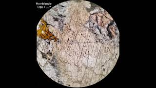 Hornblende tutorial Optical mineralogy [upl. by Zaob]