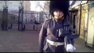 buckingham palace guard [upl. by Sims]