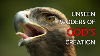 Unseen Wonders of Gods Creation [upl. by Noble]