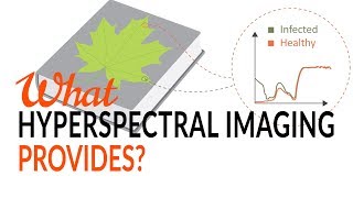 What Hyperspectral Imaging provides  Tutorial [upl. by Lorusso]