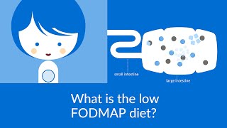 FODMAP Foods What are They Problems Why Low Carb Helps [upl. by Aneetak511]