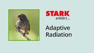 Adaptive Radiation  STARK erklärt [upl. by Anuahsed618]