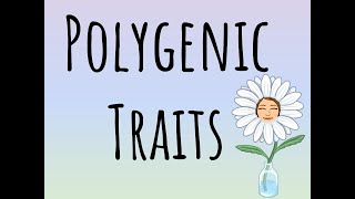 Polygenic Traits [upl. by Nyahs]