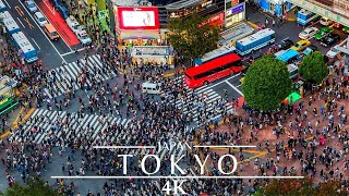 Japan Tokyo 🇯🇵 4K  Shibuya Crossing Time Lapse [upl. by Thorfinn367]