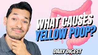 What Causes Yellow Poop [upl. by Deana]