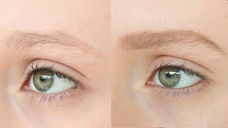 Full Natural Blonde Brows [upl. by Hy]