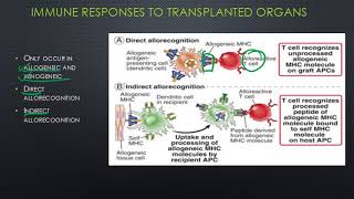 Transplant Immunology [upl. by Kenrick]