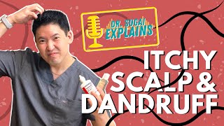 Dr Sugai Explains Itchy Scalp and Dandruff What Shampoos to Consider [upl. by Wesla281]