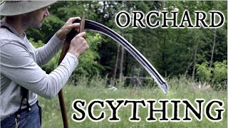 Scything tall grass in an orchard [upl. by Roma]