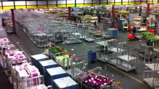 The Largest Flower Market in the World Aalsmeer Holland [upl. by Finkelstein]