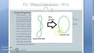 Pharmacology 707 b FluoroQuinolones Mechanism Of Action Quinolones DNA Gyrase inhibitor supercoil [upl. by Tennek]