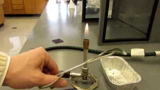 Chemistry Demo Burning Magnesium [upl. by Anaeed]