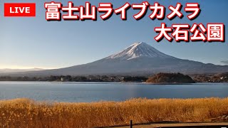 【LIVE】河口湖大石公園からの「富士山ライブカメラ」 quotmount fuji live cameraquot from Lake Kawaguchiko Oishi Park Japan [upl. by Car]